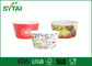 9oz logo Double PE Disposable Paper Ice Cream Cups / Yoghurt Cups met Deksels leverancier